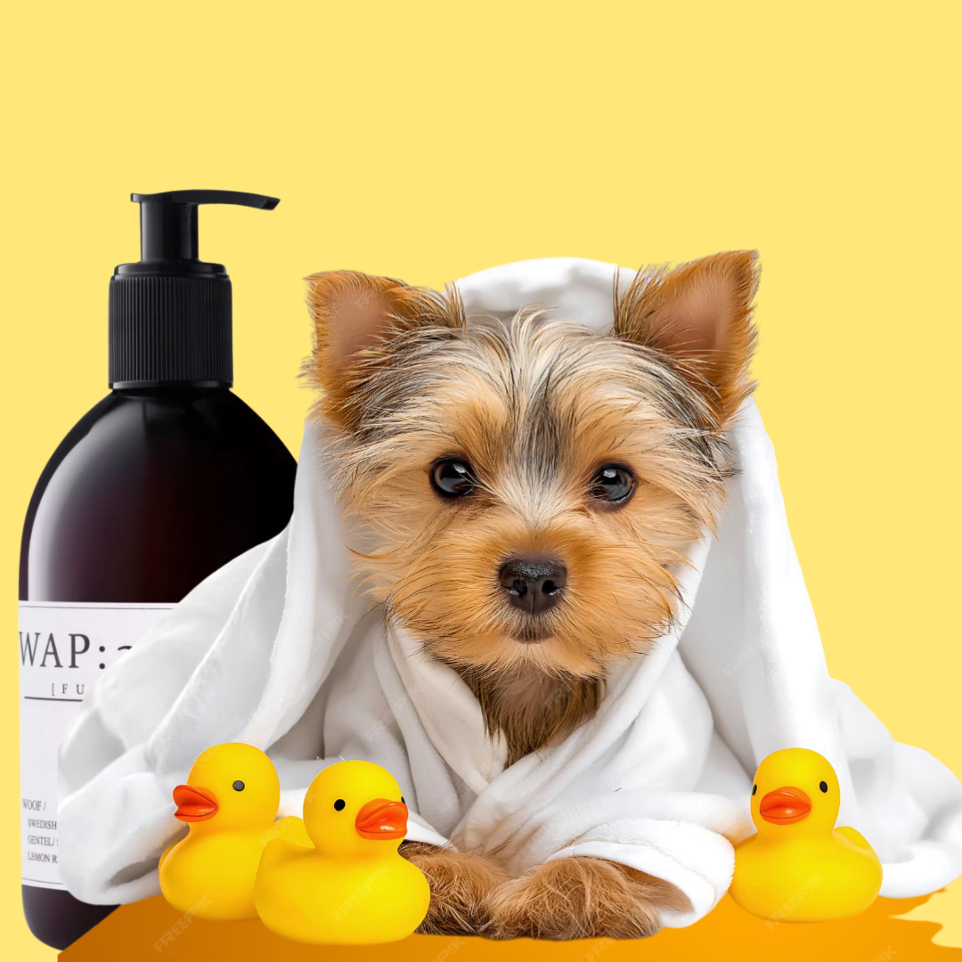 Pet Care & Wellness