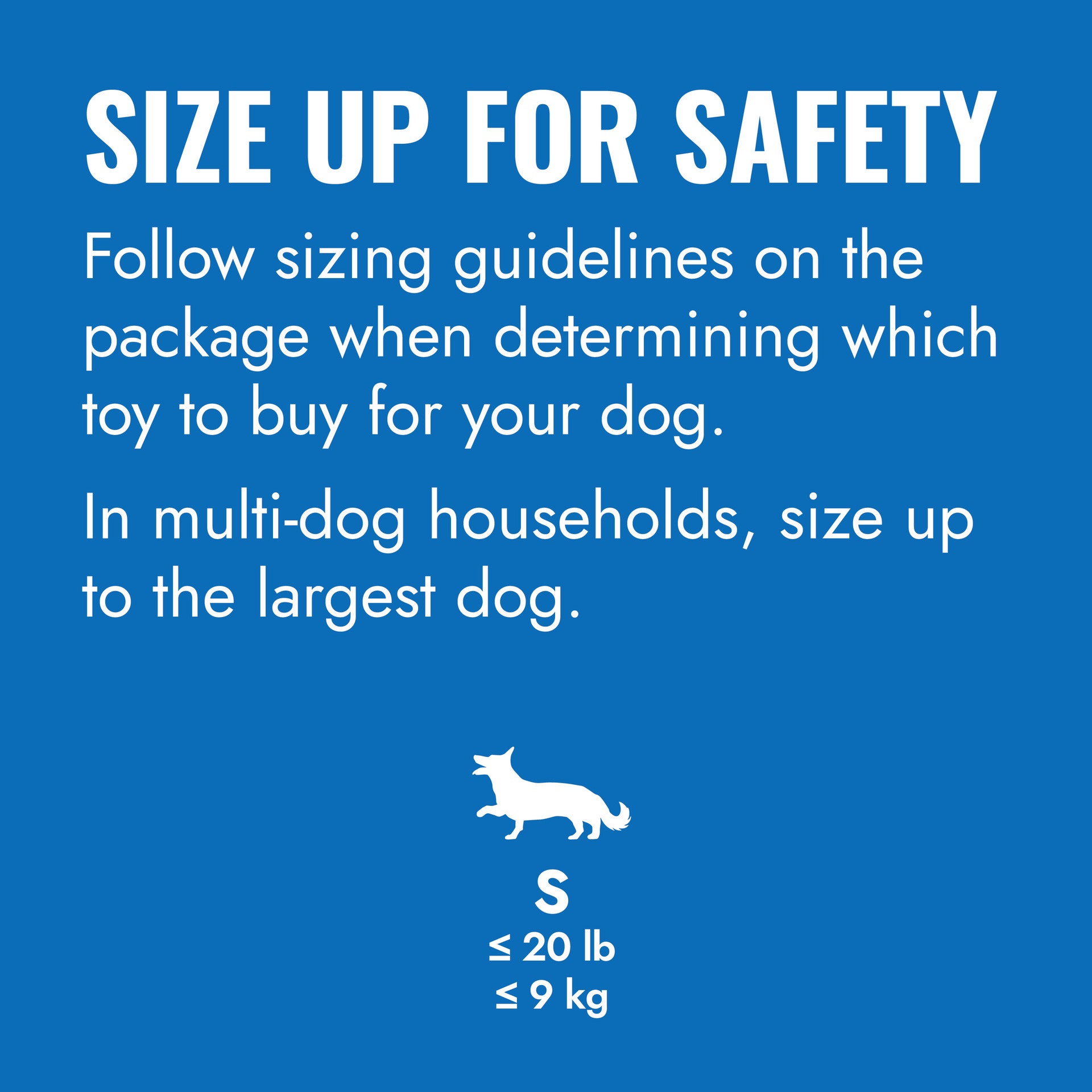 KONG Puppy Goodie Bone Dog Toy - Blue