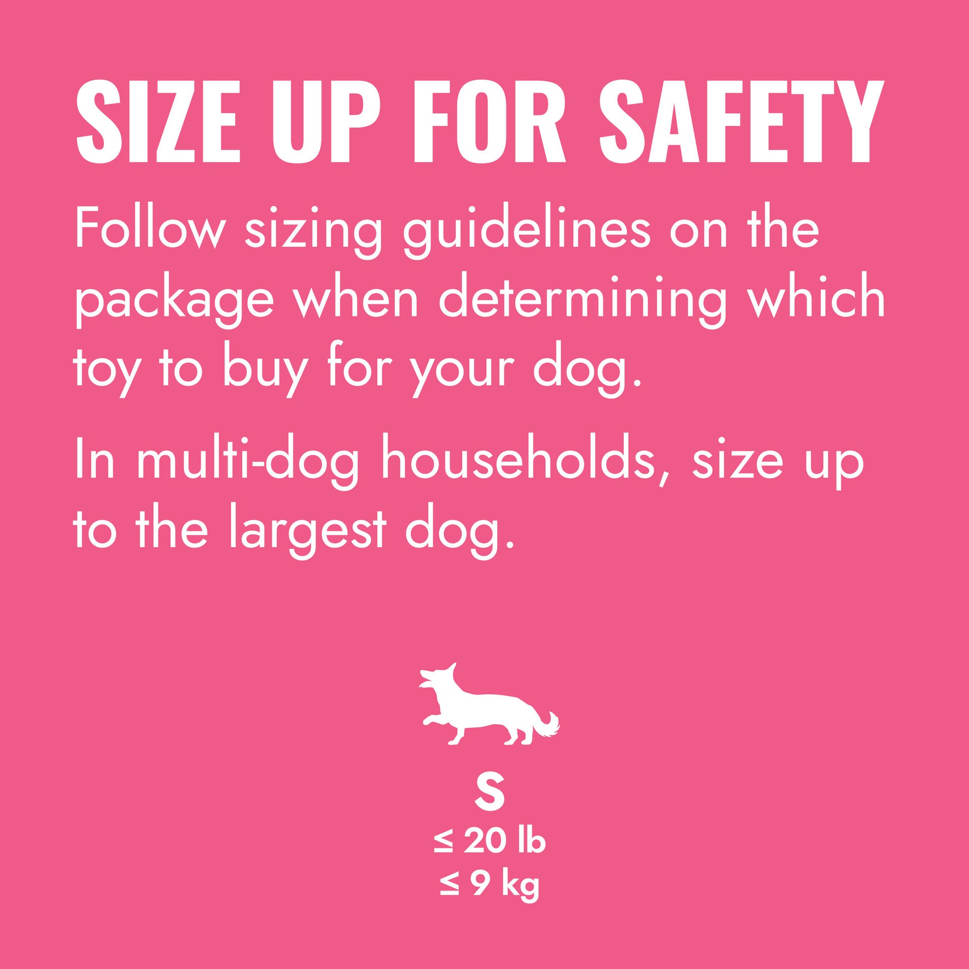 KONG Puppy Goodie Bone Dog Toy - Pink
