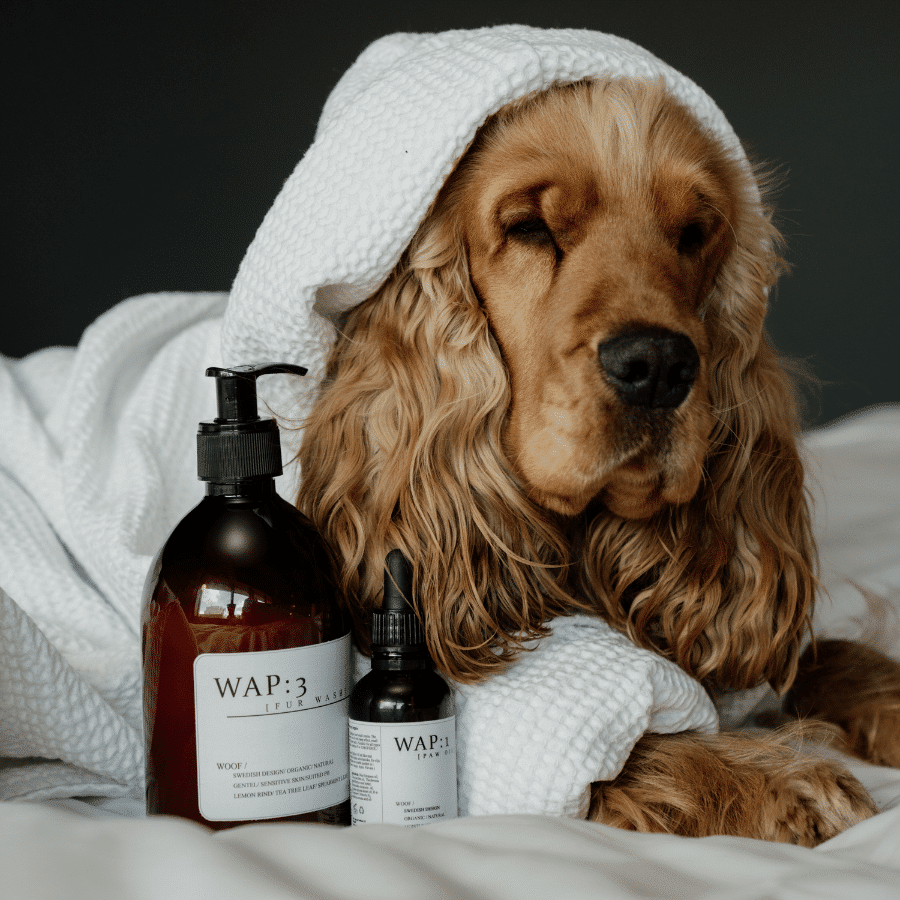 WAP: 3 – Fur Wash