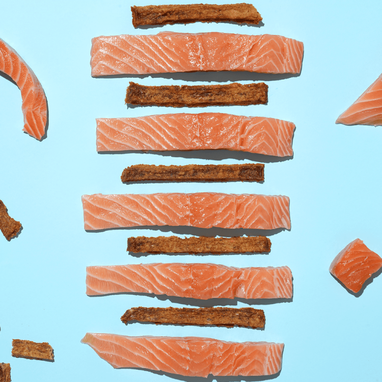Crispy Salmon