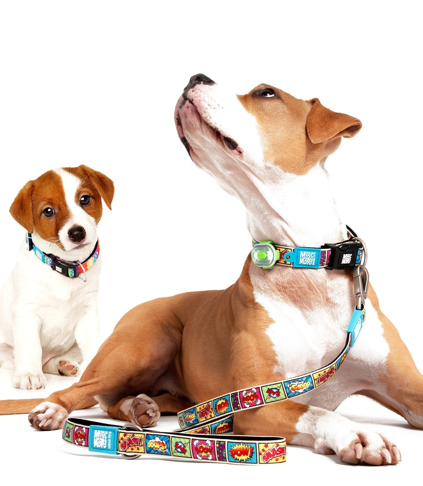GOTCHA! Smart ID Collar