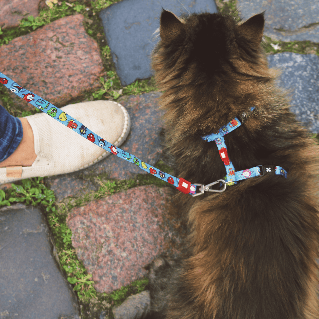Cat Harness and Leash