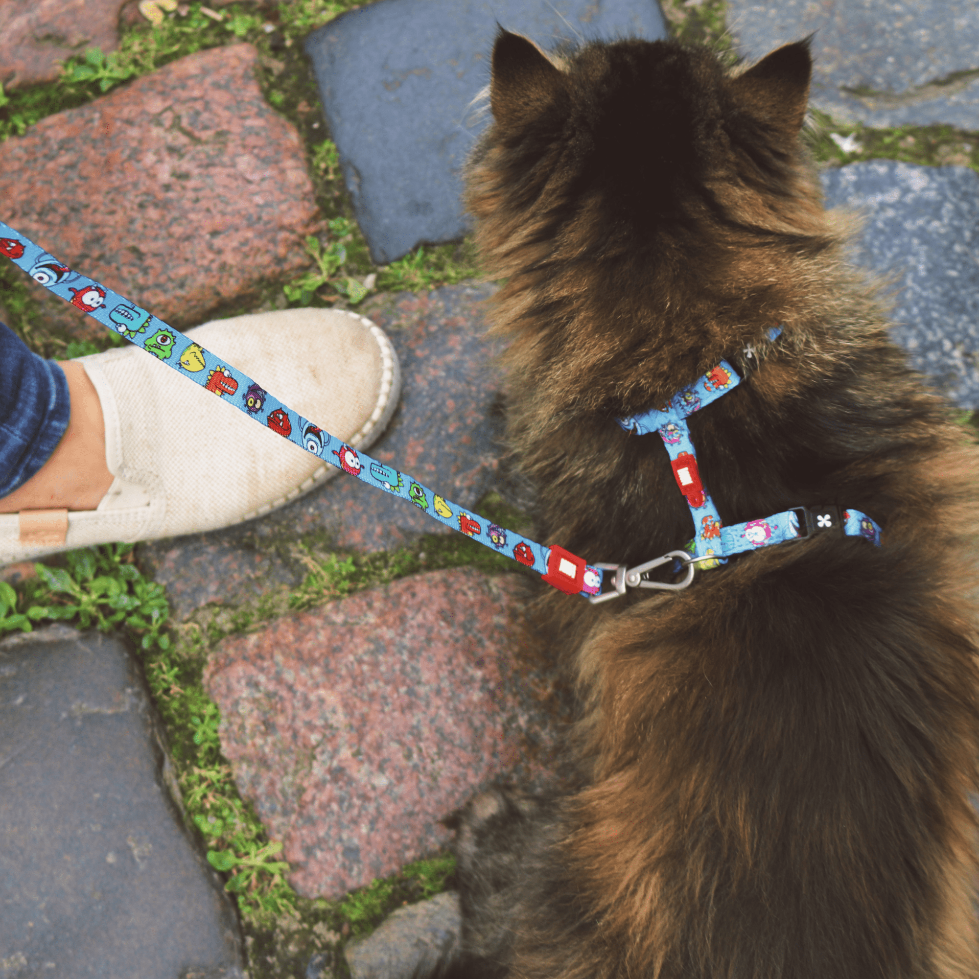 Cat Harness and Leash