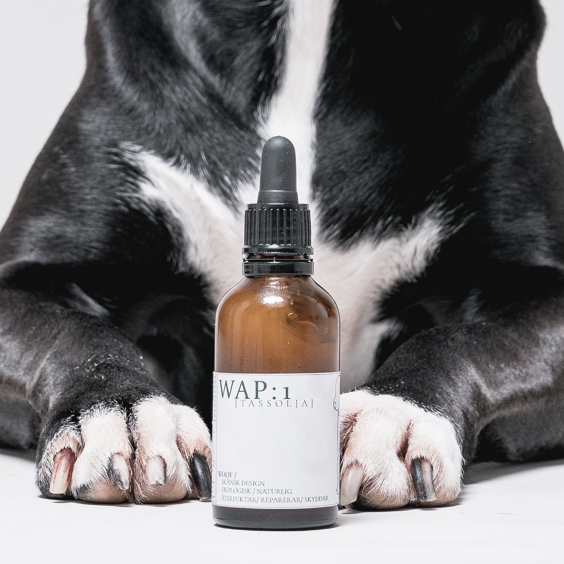WAP: 1 – Paw Oil
