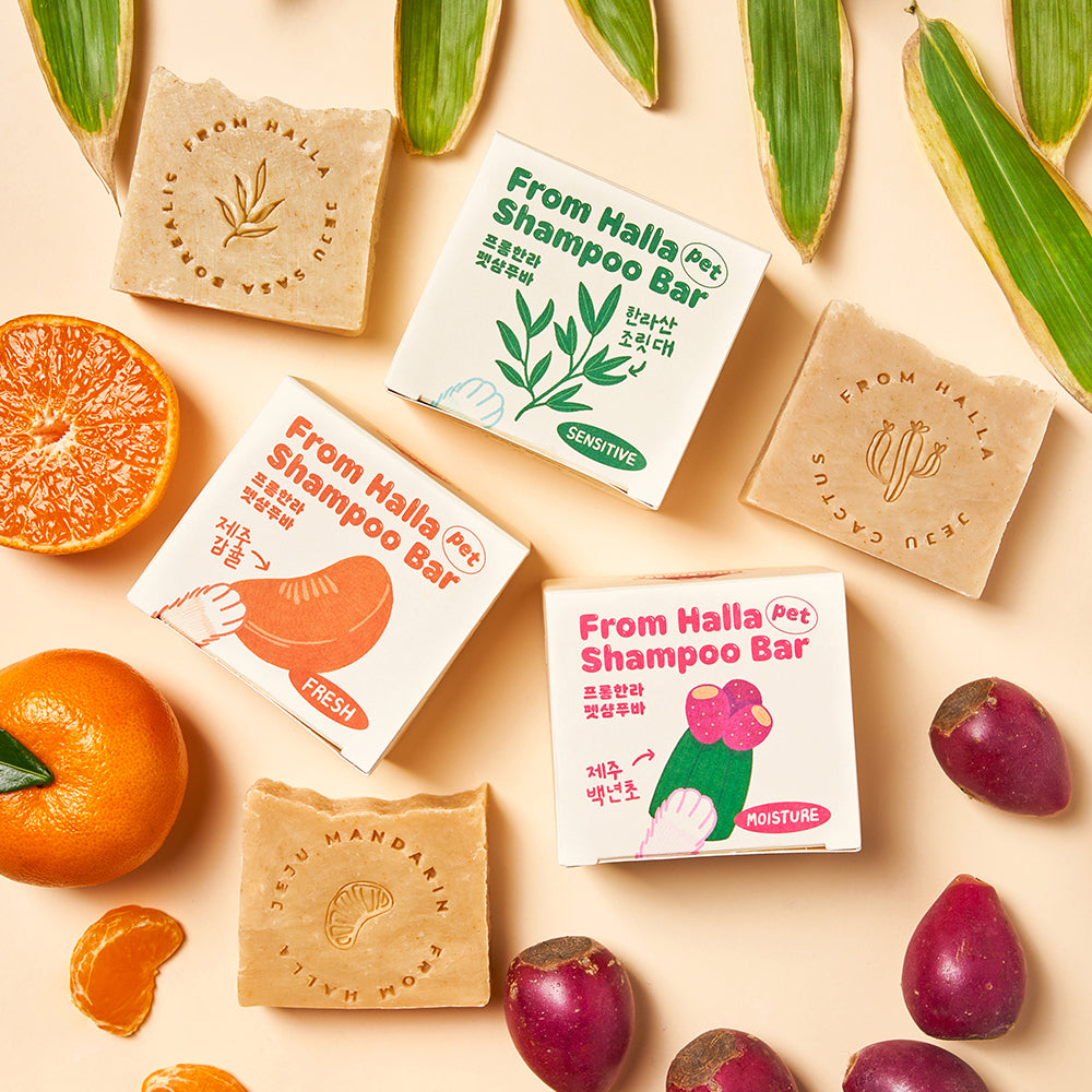 HALLA Shampoo Bar –  Halla Mt. Jeju Sasa