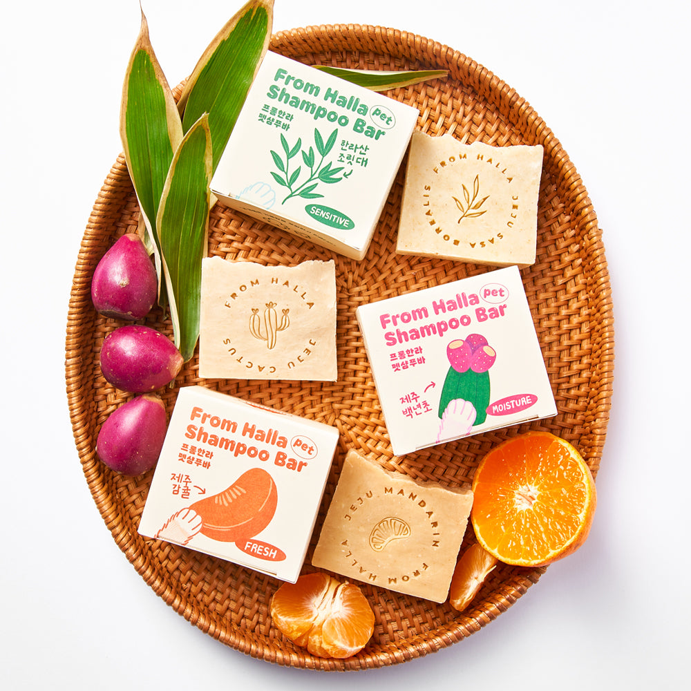 HALLA Shampoo Bar –  Halla Mt. Jeju Prickly Pear