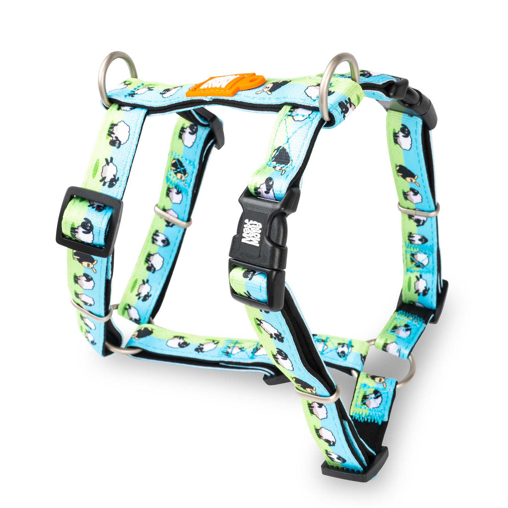 H-Harness