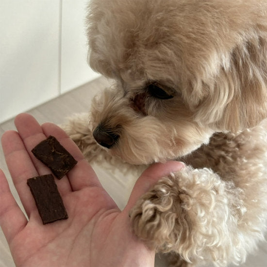 Jerky Bite - Beef