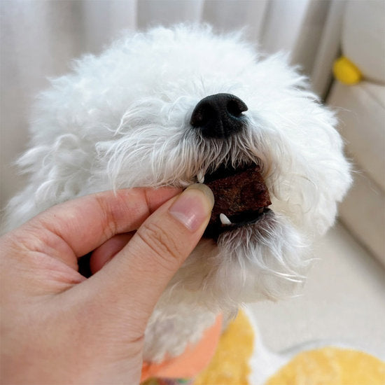 Jerky Bite - Beef