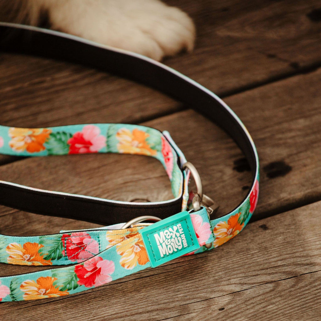 Short Leash
