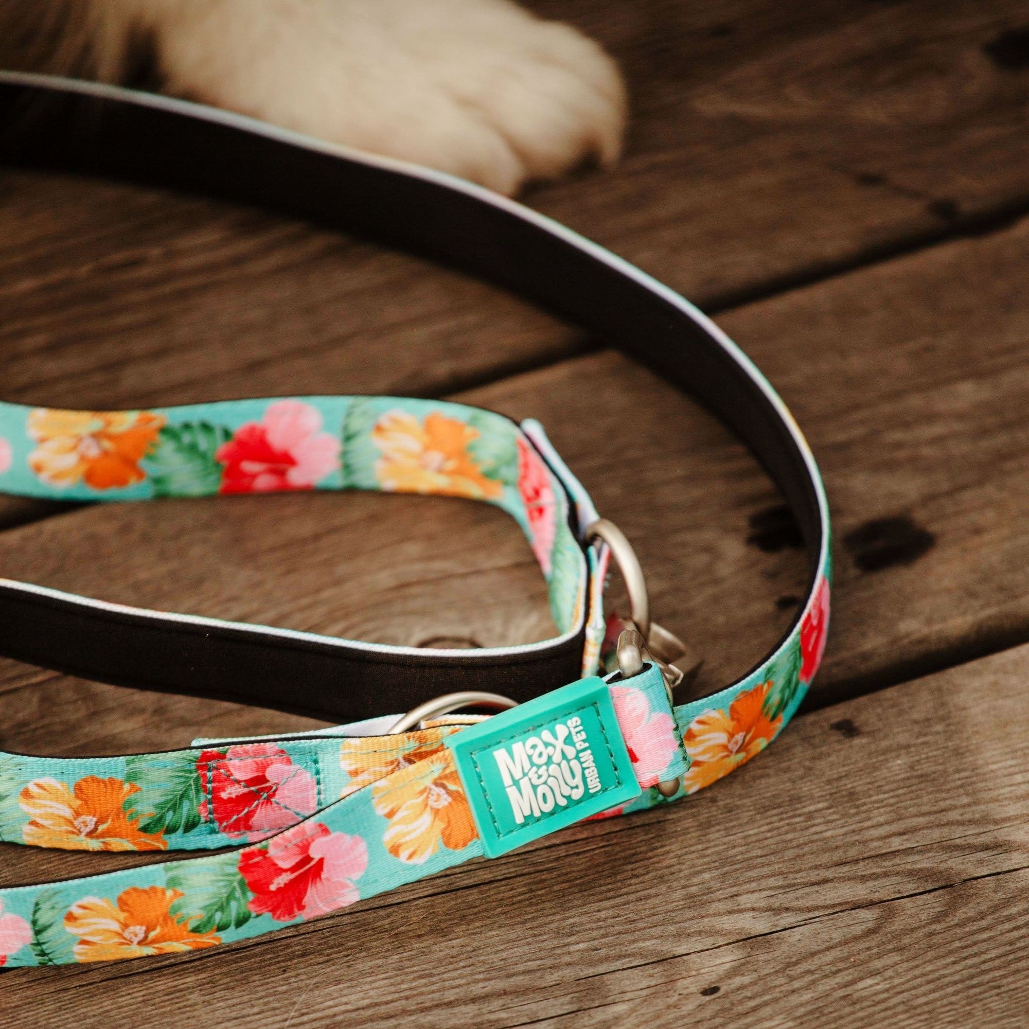 Short Leash