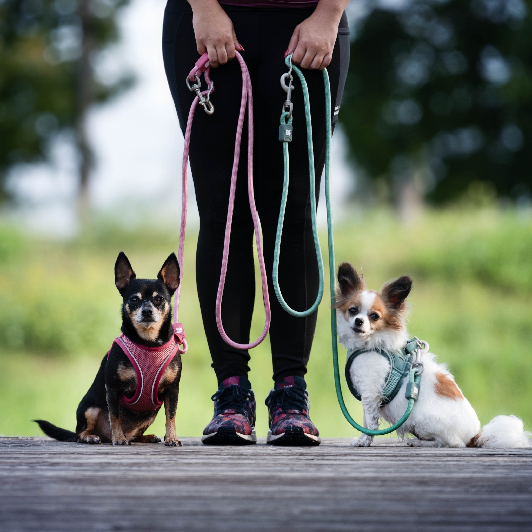 Matrix 2.0 Smart ID Air Vest Harness