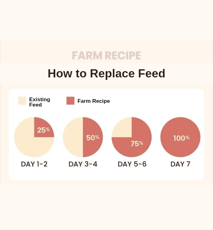 Vegan Farm Recipe