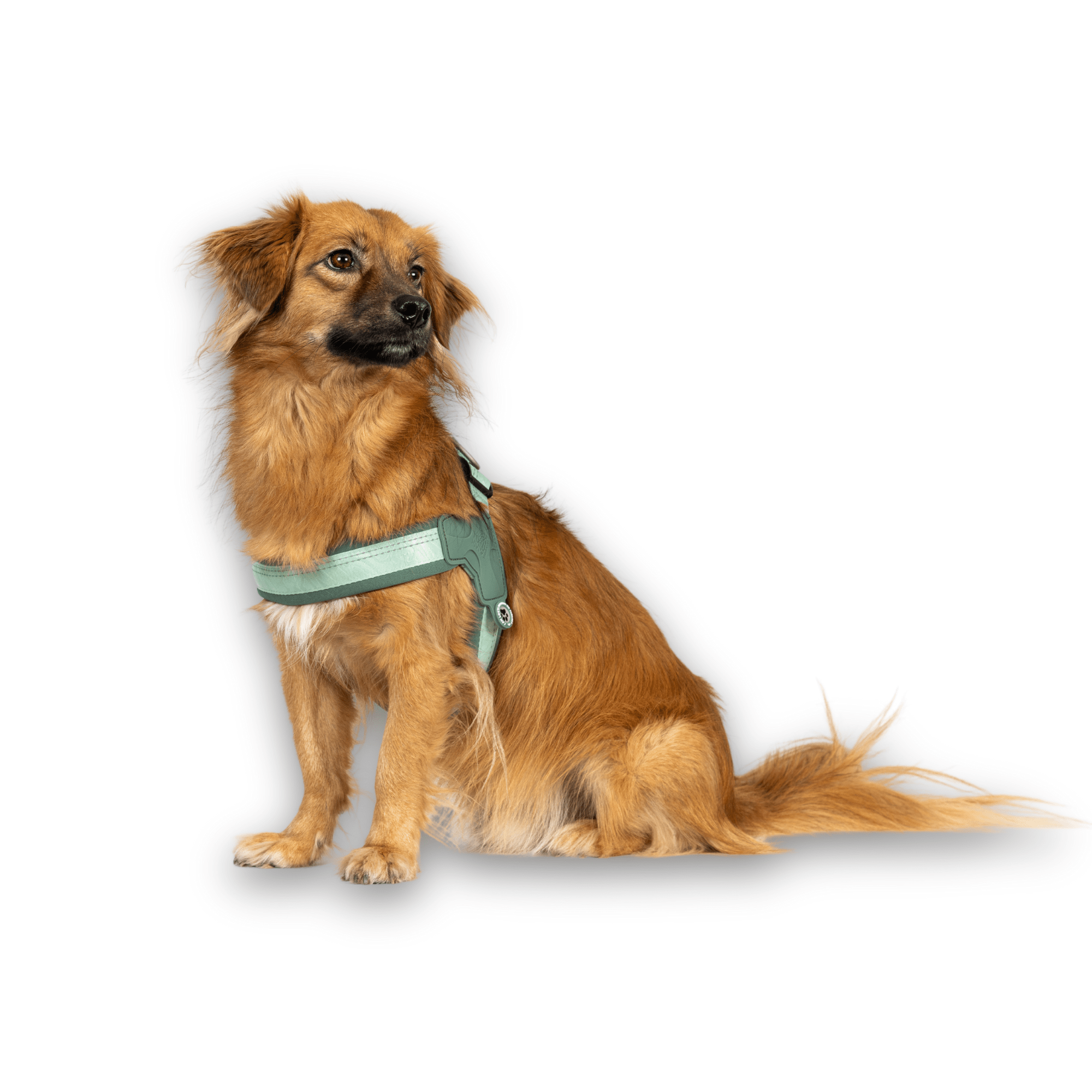 Matrix 2.0 Q-Fit Smart ID Harness
