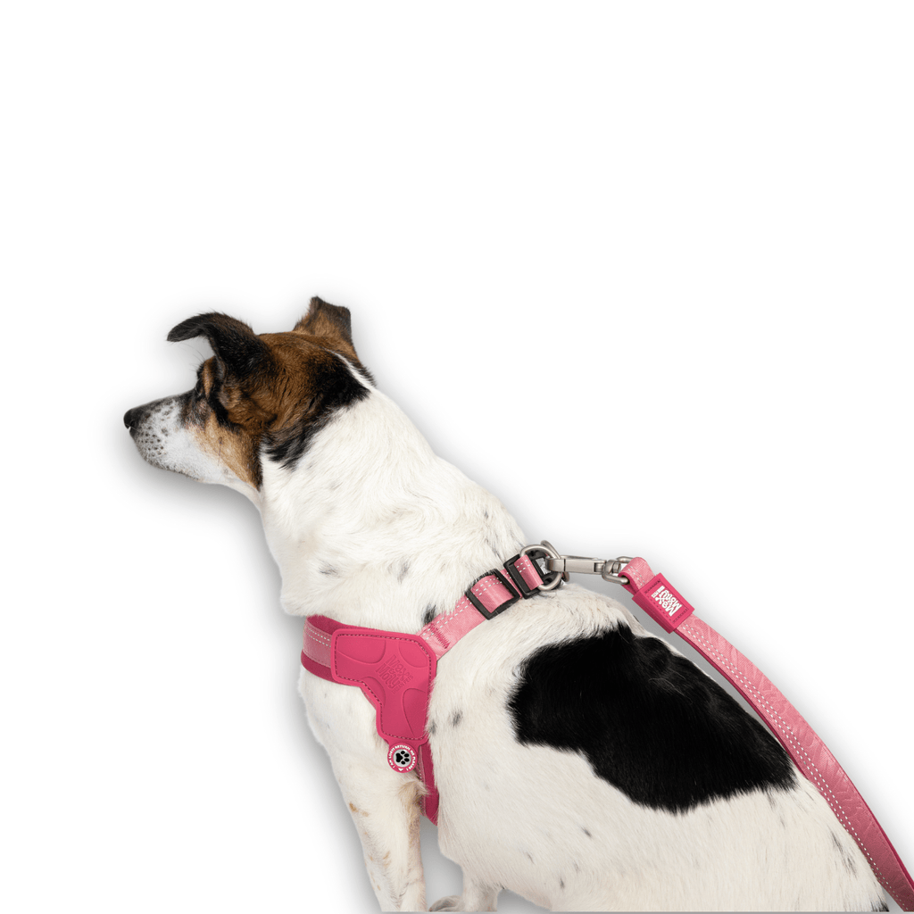 Matrix 2.0 Q-Fit Smart ID Harness