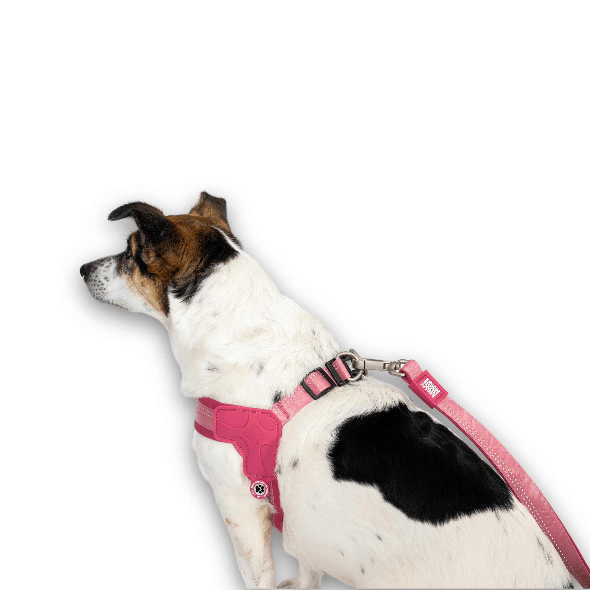 Matrix 2.0 Q-Fit Smart ID Harness