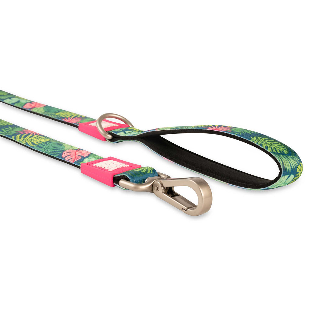 Short Leash