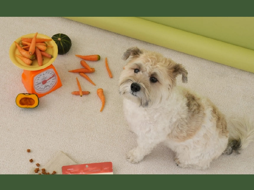 Vegetable Bites - Pumpkin