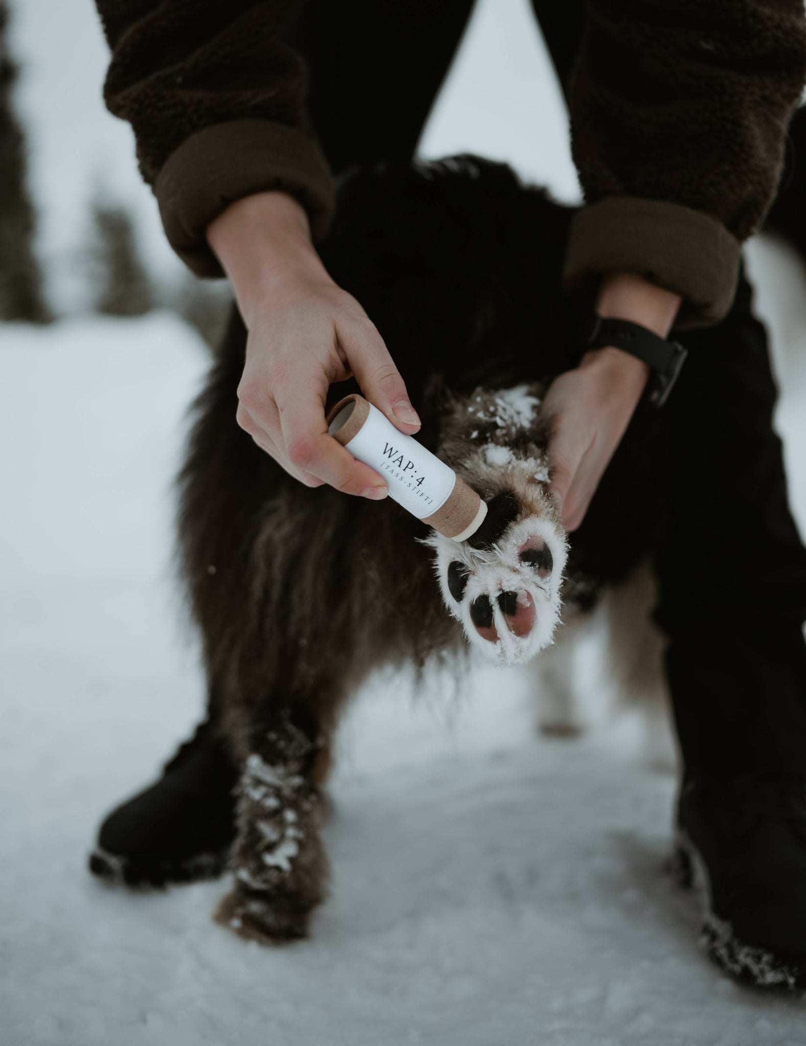 WAP: 4 – Paw Pin